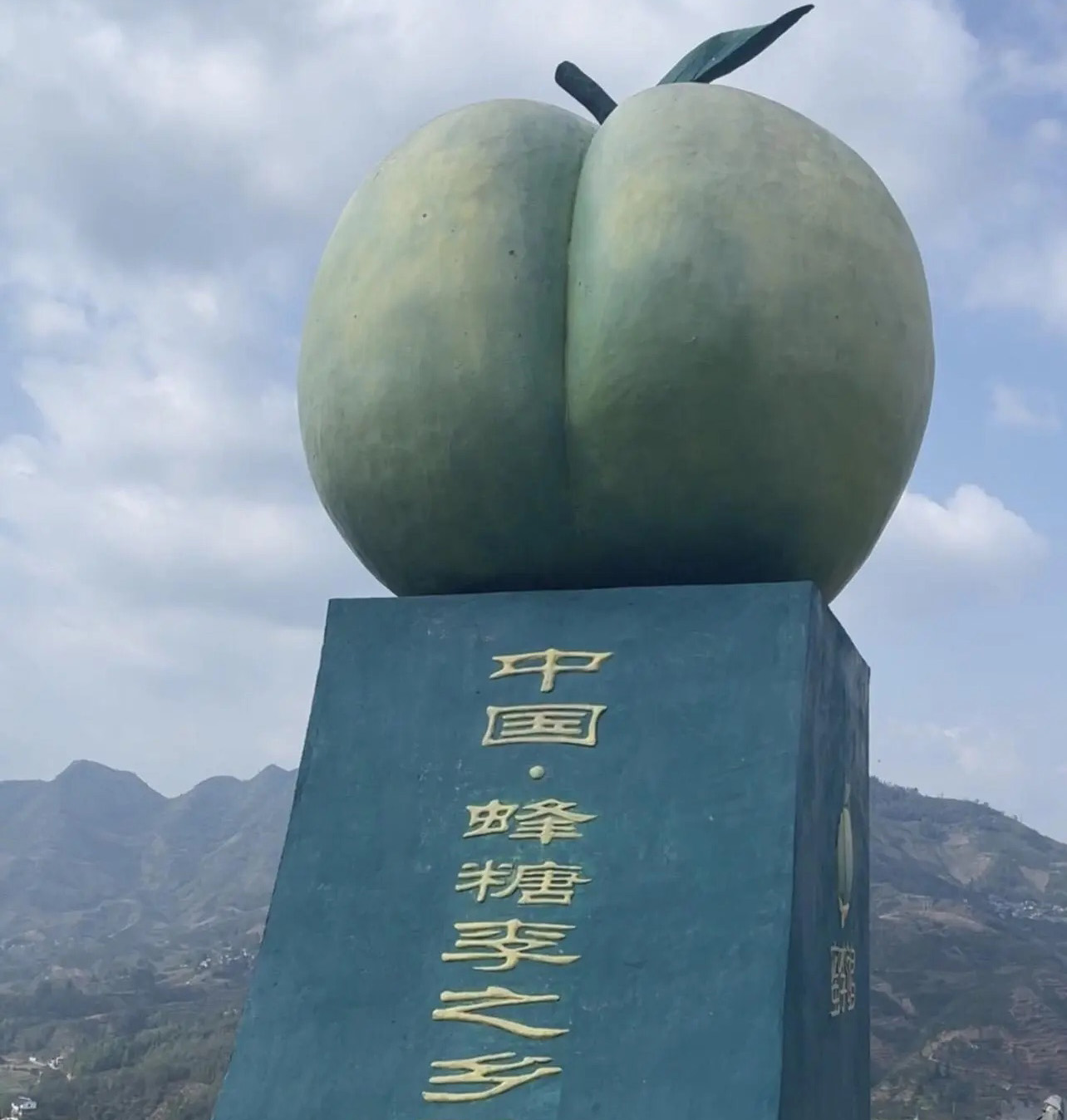 贵州蜂糖李子基地